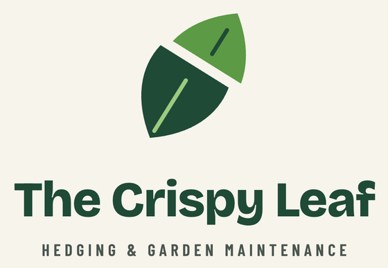 The Crispy Leaf logo - Hedging & Garden Maintenance